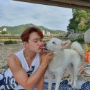 김원효 카카오 검색결과