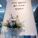피어라헤어 이미지