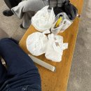 배나무곰탕 | 1박2일 나주여행코스 후기 유채꽃축제 나주곰탕 맛집 추천