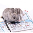 미래한의원 이미지