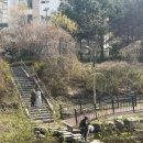 운중공원 | [판교 벚꽃 명소] 운중공원·운중천 피크닉 후기｜조용한 숨은 벚꽃 스팟 인생샷 스팟