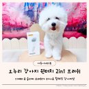 비숑 슬리커브러쉬 오누리 강아지 원터치 브러쉬 강아지빗