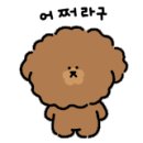 여수 리베라 풀빌라 리조트 이미지