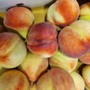 과일&공구