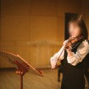성인 취미바이올린 5년 배운 후기 바이올린포레스트