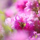 군포-산본-2003 이미지