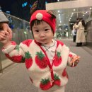 만석빌리지 | 크리스마스빌리지 후기 절망편