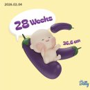 P17. [임신 후기] 입체 초음파 실패 후기와 3번째 결기의 28주-29주