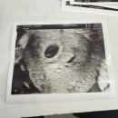 리즈앤마리안산부인과의원 이미지