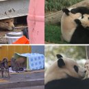 이산농장 이미지