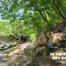 대웅사 | [부산 기장 가볼만한 곳]기장 장안사-장안사 계곡
