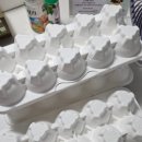 해오름팜 이미지