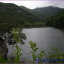 개인화물526 Daum카페
