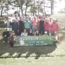 세무법인배 이미지