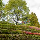 비온후풍경 이미지