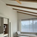 스테이 산위 이미지