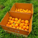 민성이네 농장 이미지