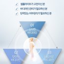 올가라인 이미지