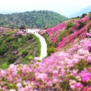 바래봉한우정 이미지