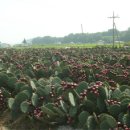 한국웰빙건강 이미지