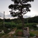 산 목장 이미지