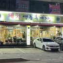 집으로돼지무전