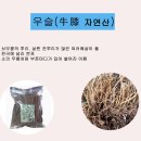 강원약초농산