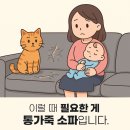 통가죽 소파로 해결하는 4인 카우치 소파 고민 [대구 쏘랩]