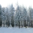 소나무 철물점 이미지