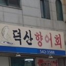 덕산향어횟집