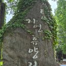 파랑새여행사 - 중구 중앙길 192 | [1년 전 오늘] 파랑새투어 장태산자연휴양림/부소담악 다녀온후기