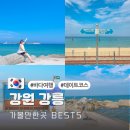 정동진역(버스정류장) | 강원도 강릉 가볼만한곳 관광지 데이트 코스 BEST5