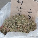 강화젓갈;수산 이미지