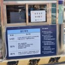 정산도서관 | 정독도서관 벚꽃 명소 직접 후기 주차장 요금 봄 나들이 코스