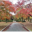 공주-01 이미지
