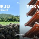 황금5로 이미지