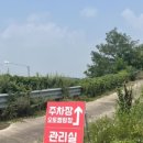 글램코티지 이미지