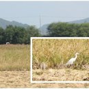 김포한강 8로 이미지