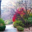 초안산 세대공감공원 이미지