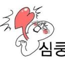 오늘의설렘 이미지