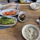 대부도 동서가든 캠핑장 후기