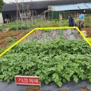 시현농장 이미지