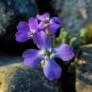 한서한의원 이미지