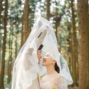 13월의 제주 이미지