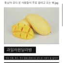 야놀자뽑기샵 | [치앙마이🌱] 먹고 놀고 쇼핑하고 온 빼곡한 3일 중 셋째날의 일기