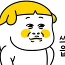 (주)퍼스트마인드 이미지