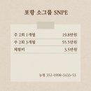 지나얼라인