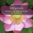 연꽃 - 춘천시 스무숲1길 36-2 | 연꽃