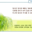 일일예화말씀묵상 2024년 11월 14일 (금) - 부끄러운 생활 이미지