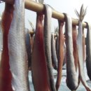 영덕청어과메기영어조합 이미지